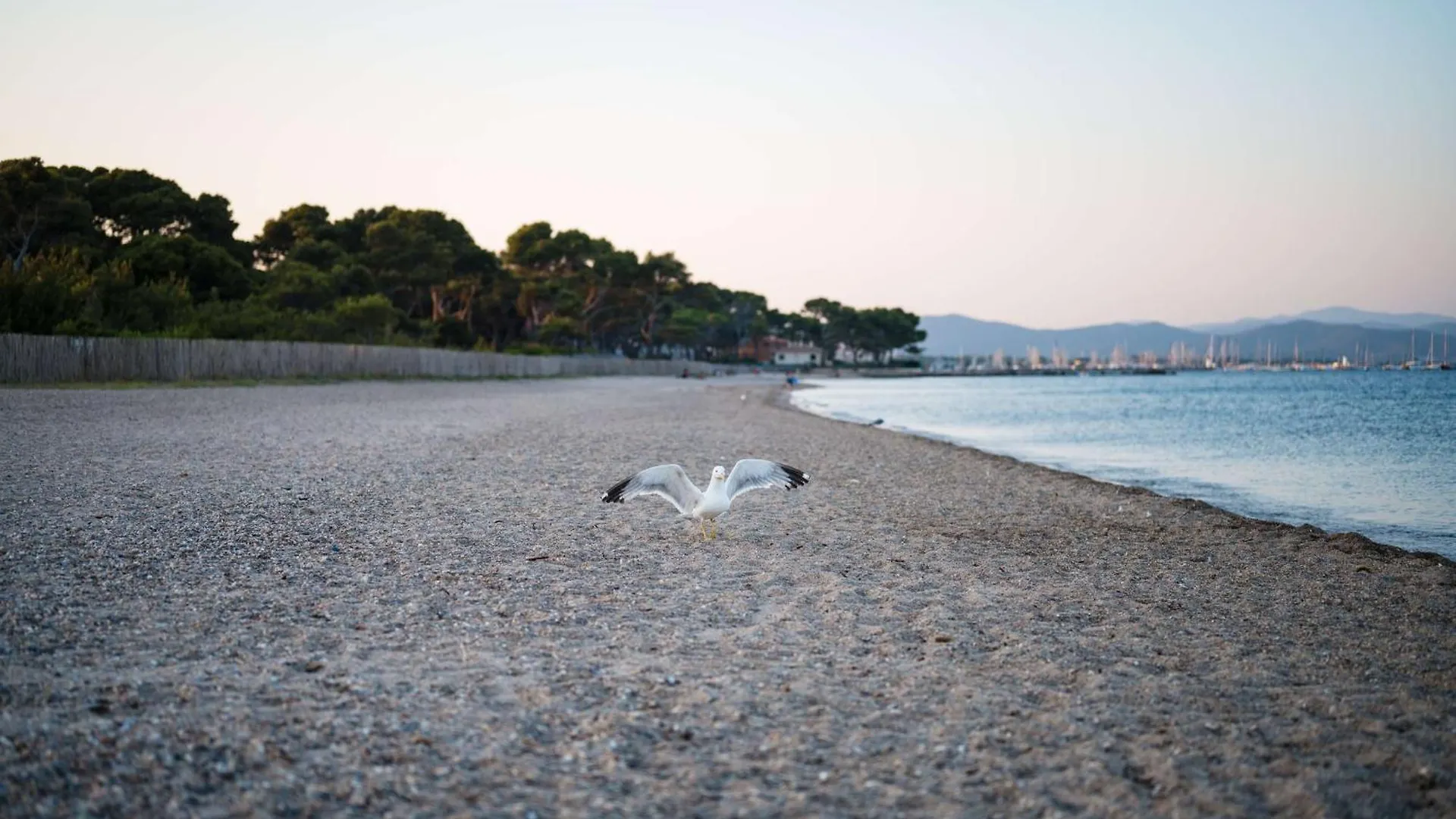 Le Hameau Des Pesquiers Ecolodge & Spa, Curio Collection By Hilton Hyeres Hotel